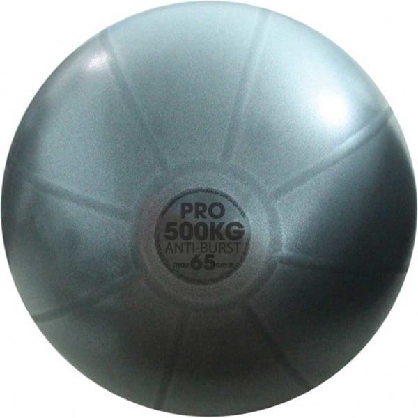 Fitness-Mad | Studio Pro | Fitnessbal | Gymbal | Fitbal | ⌀ 65 cm | Antraciet. Belastbaar tot 500 KG. Anti-burst! Perfect voor krachttraining!