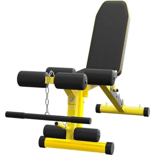 Gewichtsbank met Beenverlenging - Multi-Positie Verstelbare Bank voor Krachttraining, Dumbbell Oefening en Ab Workouts