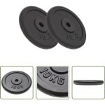 The Living Store Halterschijven 2 st 2x10 kg gietijzer - Halterschijven - Haltergewichten - Fitness - Krachttraining - Bodybuilding