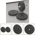 The Living Store Halterschijven 2 stuks 30 kg beton - Halterschijven - Gewichtsschiven - Fitness - Home Gym - Krachttraining