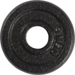 VirtuFit Gietijzeren Gewicht - 30 mm - 0,5 kg - Zwart - Halterschijf - Gewicht Schijf - Sport Gewichten voor Thuis - Geschikt voor Fitness, CrossFit & Functional Training