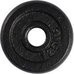 VirtuFit Gietijzeren Gewicht - 30 mm - 1,25 kg - Zwart - Halterschijf - Gewicht Schijf - Sport Gewichten voor Thuis - Geschikt voor Fitness, CrossFit & Functional Training