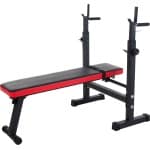 Pure2Improve Verstelbare Halterbank - Fitnessbank voor Krachttraining - 50x110x24x50 cm