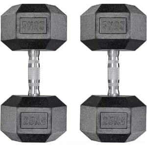 Halterset - Gewichten - Halters - Voor Krachttraining & Thuisfitness - Compacte Stalen Dumbbells van 25 kg - Set van 2
