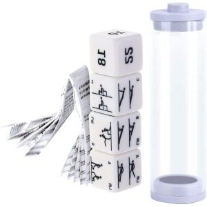 JGS Premium - Grappige fitnessdobbelstenen set van 4 stuks voor krachttraining sport crossfit - Inclusief handleiding - Draagbaar trainingsgereedschap