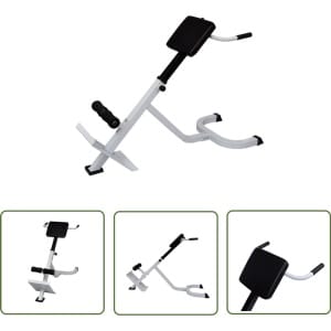 vidaXL Rugspiertrainingsbank - Rugspieroefening - Rugtraining - Home Gym - Fitnesstoestel - Krachttraining