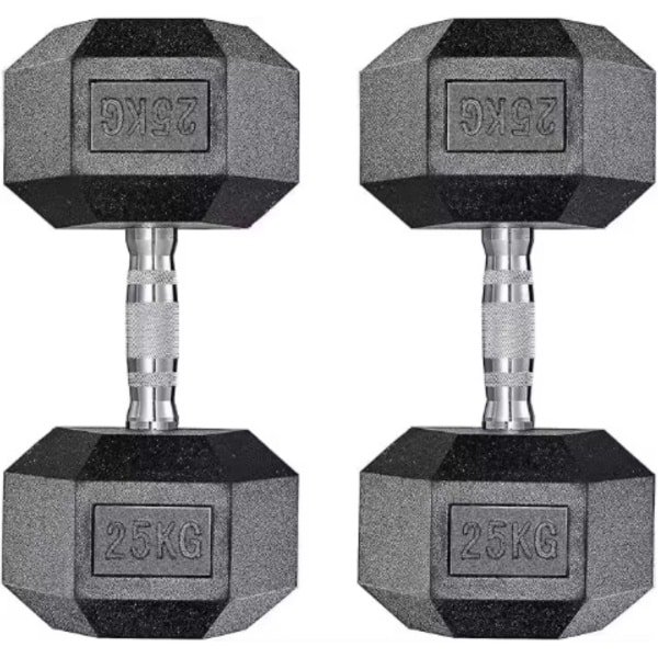 Halterset - Gewichten - Halters - Voor Krachttraining & Thuisfitness - Compacte Stalen Dumbbells van 25 kg - Set van 2