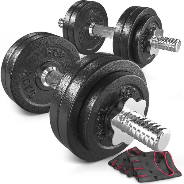 Korte Halterset met Gietijzeren Gewichtsschijven voor Effectieve Krachttraining