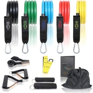 Weerstandsbanden, set met 5 weerstandsniveaus, inclusief enkelbanden, handgrepen, deuranker, expander en oefenposter voor je fitnesstraining, fitnesselastieken voor krachttraining, home workout en yoga