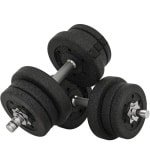 Dumbbells 25 kg - Halter - met 12 Gewichtsschijven - Gewichten Set - Halterset - Krachttraining - Fitness - Gym - Geschikt voor Thuis en Sportschool - Zwart