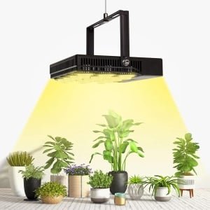 Opdruksteunen houten afneembare parallettes-antislip-bars-draagbare handstandbaren-krachttraining calisthenics-yoga Opdruksteunen