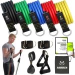 Fitnessbanden set - 5 expander tube banden met handgrepen, deuranker en enkelriem - ideaal voor pilates, krachttraining en fysiotherapie - inclusief trainings e-book en draagtas