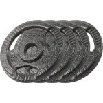 Halterset gietijzer 4 x 125 kg boring 31 mm handvat plaat RBA-2132 - Krachttraining, Fitness