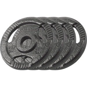 Halterset gietijzer 4 x 125 kg boring 31 mm handvat plaat RBA-2132 - Krachttraining, Fitness