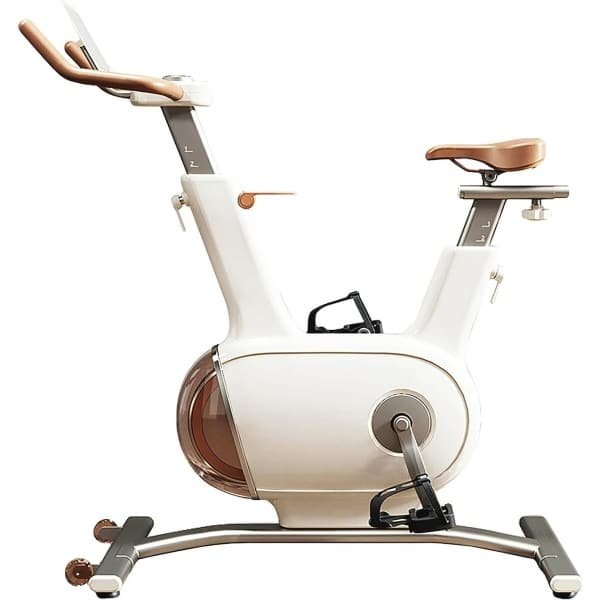 Hometrainer met Dubbel Vliegwiel van 10 kg - Stille Stationaire Fiets voor Thuis