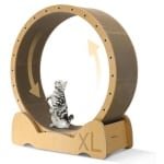 Kattenloopfiets XL - Houten Indoor Loopband voor Gezondheids- en Gewichtsverlies