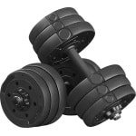 Korte Halterset 20 kg - Gietijzeren Halters met Draaibare Sluitingen voor Krachttraining en Fitness