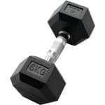 Korte Zesgatan Dumbbell 8 KG voor Krachttraining