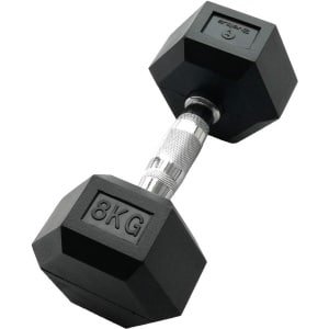 Korte Zesgatan Dumbbell 8 KG voor Krachttraining