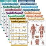 Oefening Poster Set 16 Delig voor Krachttraining en Fitness - Gelamineerd 18" x 24"