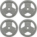 Set van 4 Halterschijven Gietijzer 4,5 kg - Gewichtheffen en Krachttraining met 1 Inch Ophang