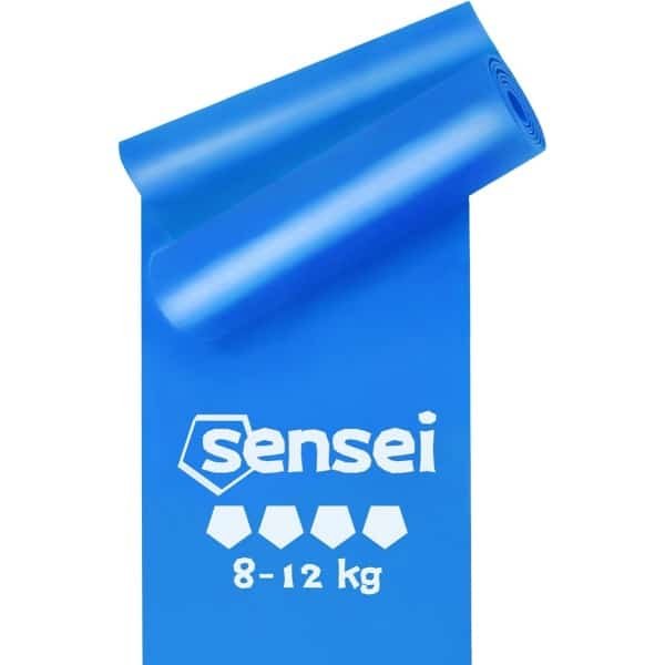 Zware Weerstandsband Latex 2 Meter voor Krachttraining en Fysiotherapie