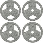 Gietijzeren Halterschijven voor Krachttraining - 1 Inch Midden, 2,3 kg (Set van 4)