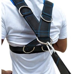 Allecto - Weerstand harnas - Snelheidstraining - Schouderharnas - Weerstandsband - Sportartikelen - Training - Geschikt voor krachttraining - Zwart...