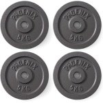 Gietijzeren Halter- en Gewichtsschijven - Perfect voor Krachttraining en Fitness - Diverse Gewichten (1.25kg - 20kg)