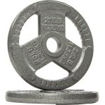 Gietijzeren Halterplaten Set van 2 - 25 LBS - Voor Krachttraining en Gewichtheffen - 50mm Opening