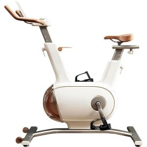 Hometrainer met Dubbel Vliegwiel van 10 kg - Stille Stationaire Fiets voor Thuis