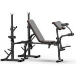 PH Fitness Multifunctionele Halterbank - Verstelbare Rugleuning - Krachttraining - Bench Press - Homegym - Zwart