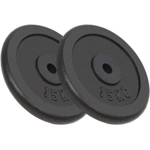 Set van 2 Halterschijven van 15 kg voor Krachttraining