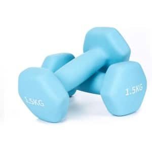 Set van 2 Neopreen Halters | Antislip Korte Gewichten voor Fitness & Krachttraining