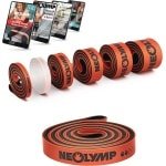 Weerstandsbanden voor Krachttraining - Lange Fitnessbanden van Natuurlijk Latex met Fitness E-book