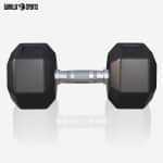 ZesZijdige Dumbbell Halter Gewichten 2 tot 50 kg Gietijzer Rubber Fitness Krachttraining
