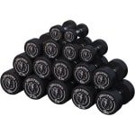 Dumbellset Gietijzer - Halterset Rubber - Krachttraining Thuis - Omhulde Kern - 2 x 15 kg - Zwart