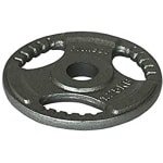 Fitness Gewicht - Halter Schijf - Krachttraining Thuis - Solide IJzeren Constructie - 15 Kg