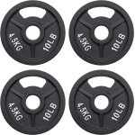 Gietijzeren Halterplaat Set voor Krachttraining en Gewichtheffen, 5 cm Opening, 4 Stuks van 4.5 KG
