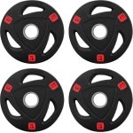 Gietijzeren Halterplaten met Vinyl Coating voor Krachttraining en Gewichtheffen - 4,5 kg Set