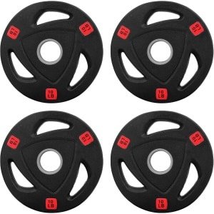 Gietijzeren Halterplaten met Vinyl Coating voor Krachttraining en Gewichtheffen - 4,5 kg Set