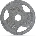 Gietijzeren Halterschijven 1.25 kg - 30mm Gewichtsschijven voor Krachttraining