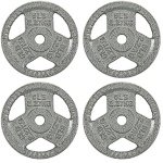 Gietijzeren Halterschijven voor Krachttraining - 1 Inch Midden, 2,3 kg (Set van 4)