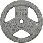 Halterschijf Gietijzer - Losse Schijf - Krachttraining Gewichtheffen - Gripgaten Veilig Gebruik - 25 lbs - Zilver