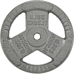 Halterschijf Gietijzer - Losse Schijf - Krachttraining Gewichtheffen - Gripgaten Veilig Gebruik - 25 lbs - Zilver