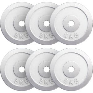 Halterschijven Gietijzer - Gewichtsschijven Fitness - Krachttraining Thuis - Verchroomd Staal - 30 mm Boring - Zilverkleurig