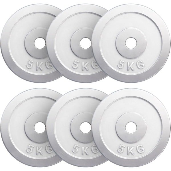 Halterschijven Gietijzer - Gewichtsschijven Fitness - Krachttraining Thuis - Verchroomd Staal - 30 mm Boring - Zilverkleurig