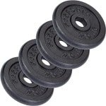 Halterschijvenset 10 kg - 4 x 2,5 kg Gietijzeren Gewichtsschijven voor Krachttraining en Fitness