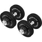 Korte Halterset Gietijzer Halterschijven 30/31 mm voor Fitness en Krachttraining