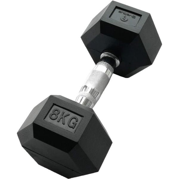 Korte Zesgatan Dumbbell 8 KG voor Krachttraining